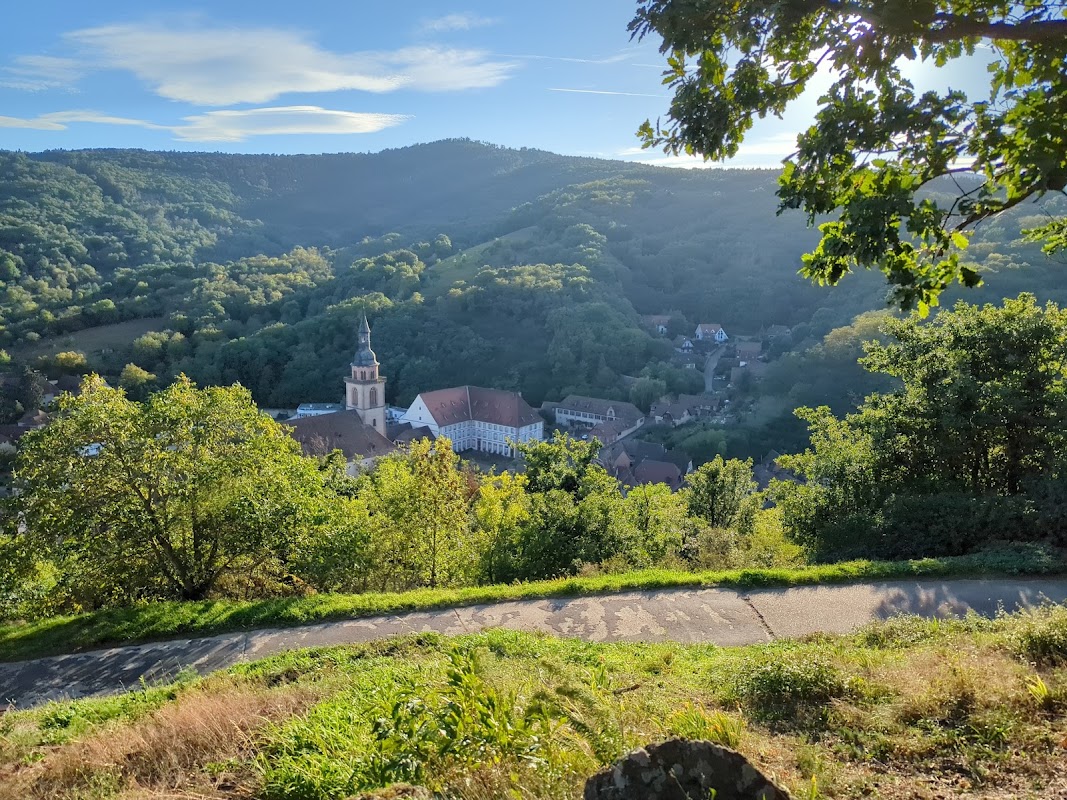 EHPAD Stoltz-Grimm - Photo 2 sur 5 - Intérieur et espaces communs