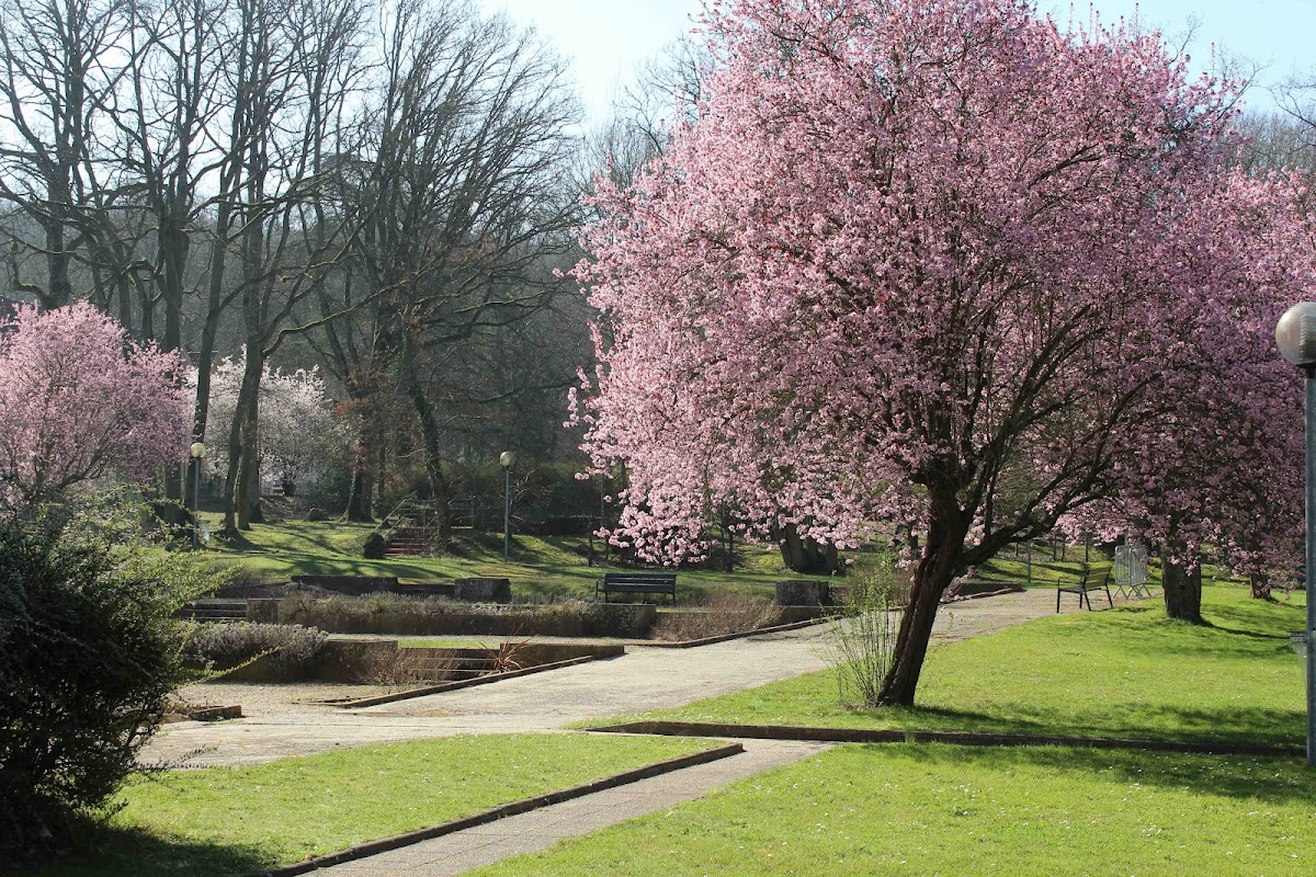 USLD Henri Mondor Site Clémenceau - Photo 5 sur 5 - Environnement et extérieurs