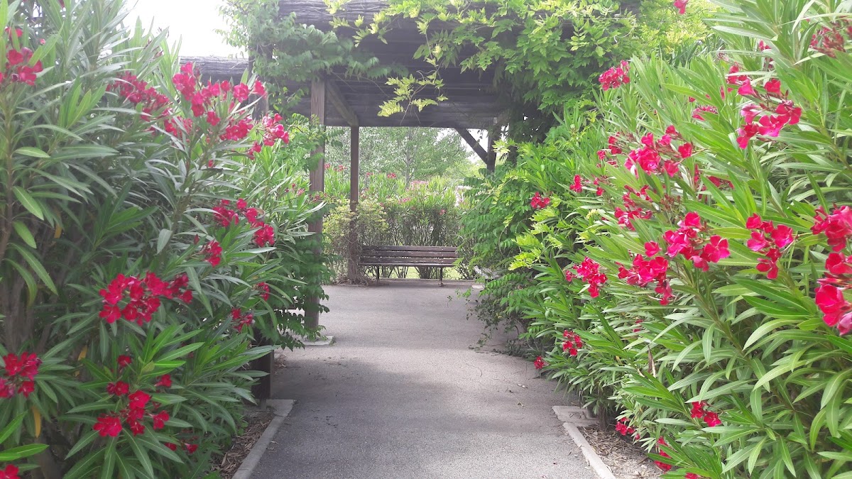 EHPAD Les Jardins - Photo 3 sur 5 - Chambres et hébergement