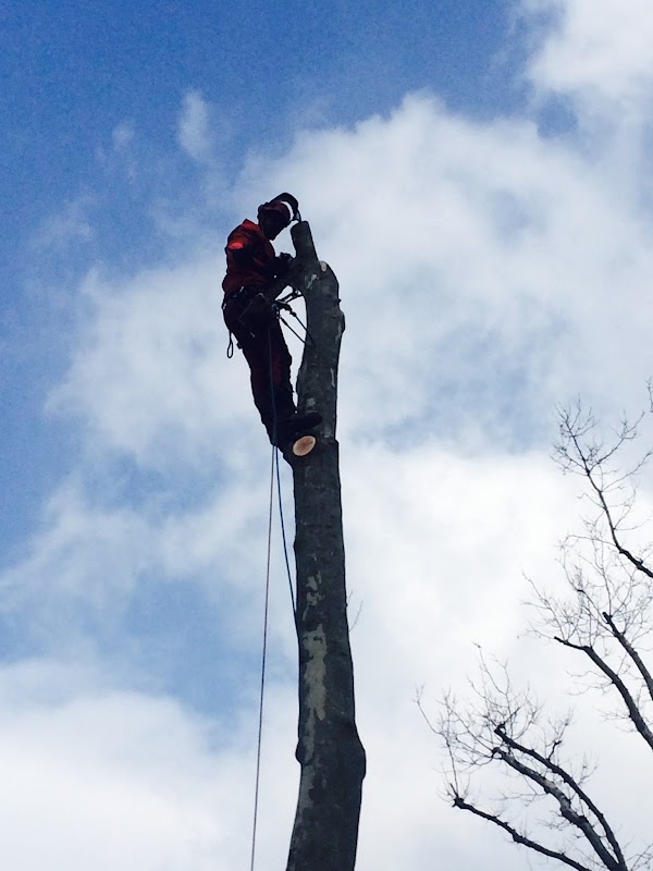 EHPAD Sainte-Thérèse - Photo 5 sur 5 - Environnement et extérieurs
