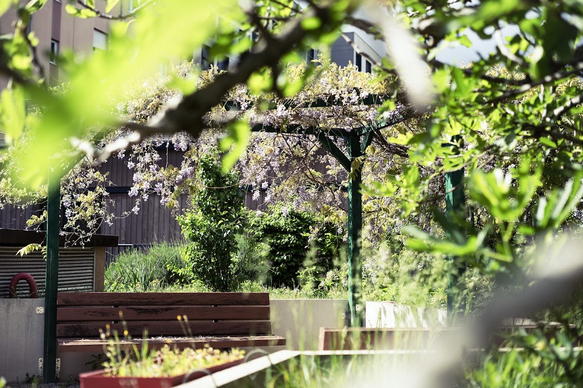 EHPAD La Vérandine - Photo 5 sur 5 - Environnement et extérieurs