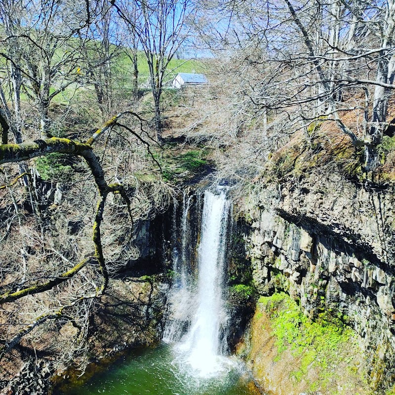 Foyer-Logement pour Personnes âgées - Photo 4 sur 5 - Espaces de vie