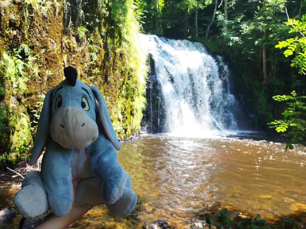 Foyer-Logement pour Personnes âgées - Photo 2 sur 5 - Intérieur et espaces communs