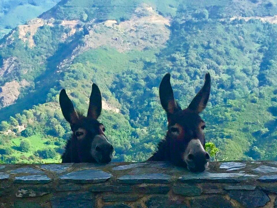 EHPAD Sainte-Thérèse - Photo 2 sur 2 - Intérieur et espaces communs