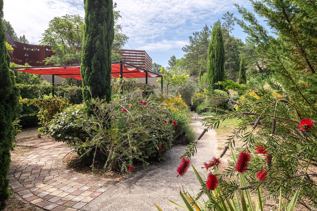 EHPAD Korian Le Domaine de Collongue - Photo 4 sur 5 - Espaces de vie