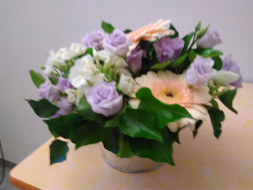 Photo de Centre hospitalier gériatrique du mont d'Or, EHPAD à ALBIGNY SUR SAONE