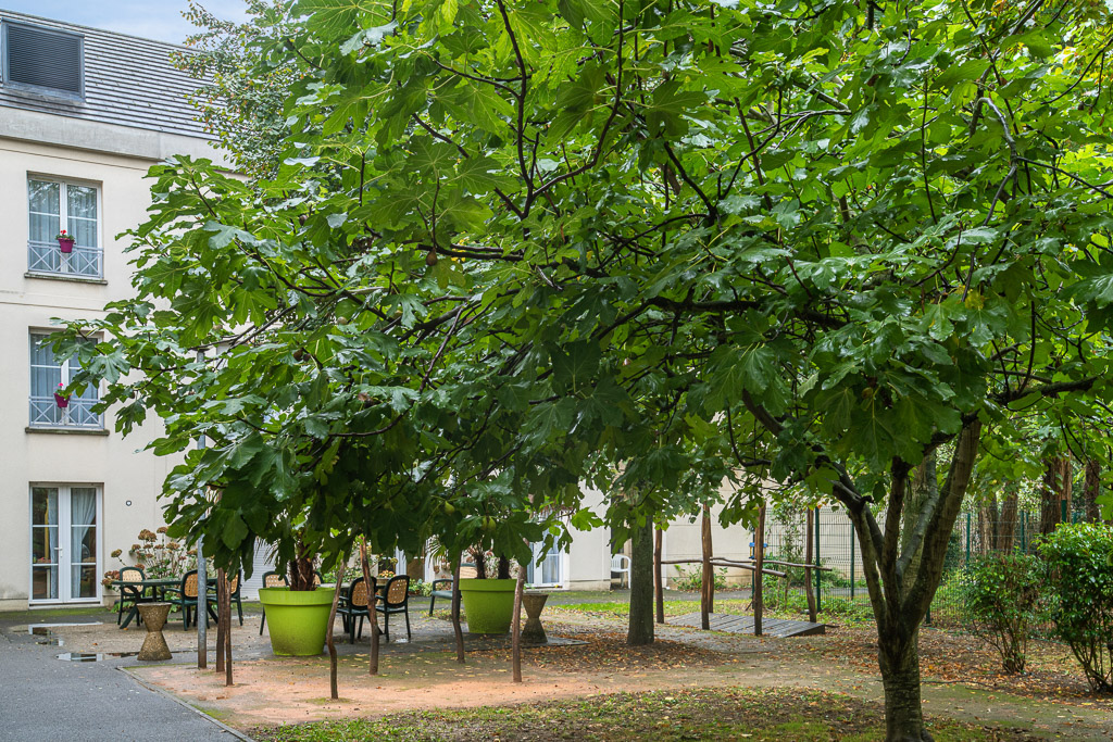 EHPAD Résidence Les Mathurins - Photo 4 sur 5 - Espaces de vie