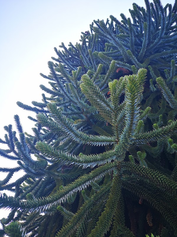 EHPAD Saint-Joseph - Photo 3 sur 4 - Chambres et hébergement