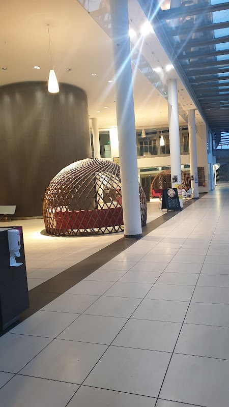 USLD du Centre hospitalier de Calais - Photo 5 sur 5 - Environnement et extérieurs