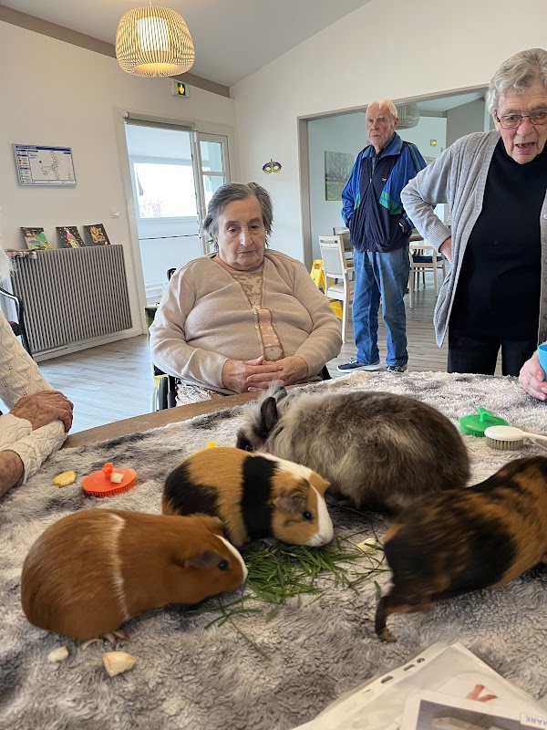 EHPA - Photo 5 sur 5 - Environnement et extérieurs