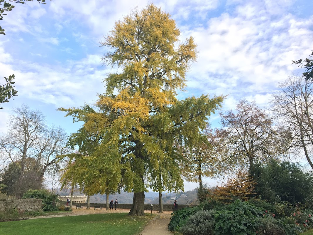 EHPAD - résidence Yves Blanchot - Photo 3 sur 4 - Chambres et hébergement