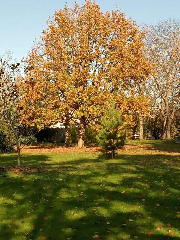 EHPAD Résidence Le Chambellan - Photo 2 sur 2 - Intérieur et espaces communs