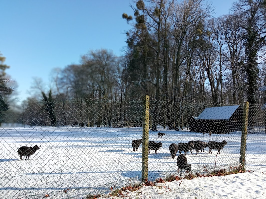 RPA les Myosotis - Photo 4 sur 5 - Espaces de vie