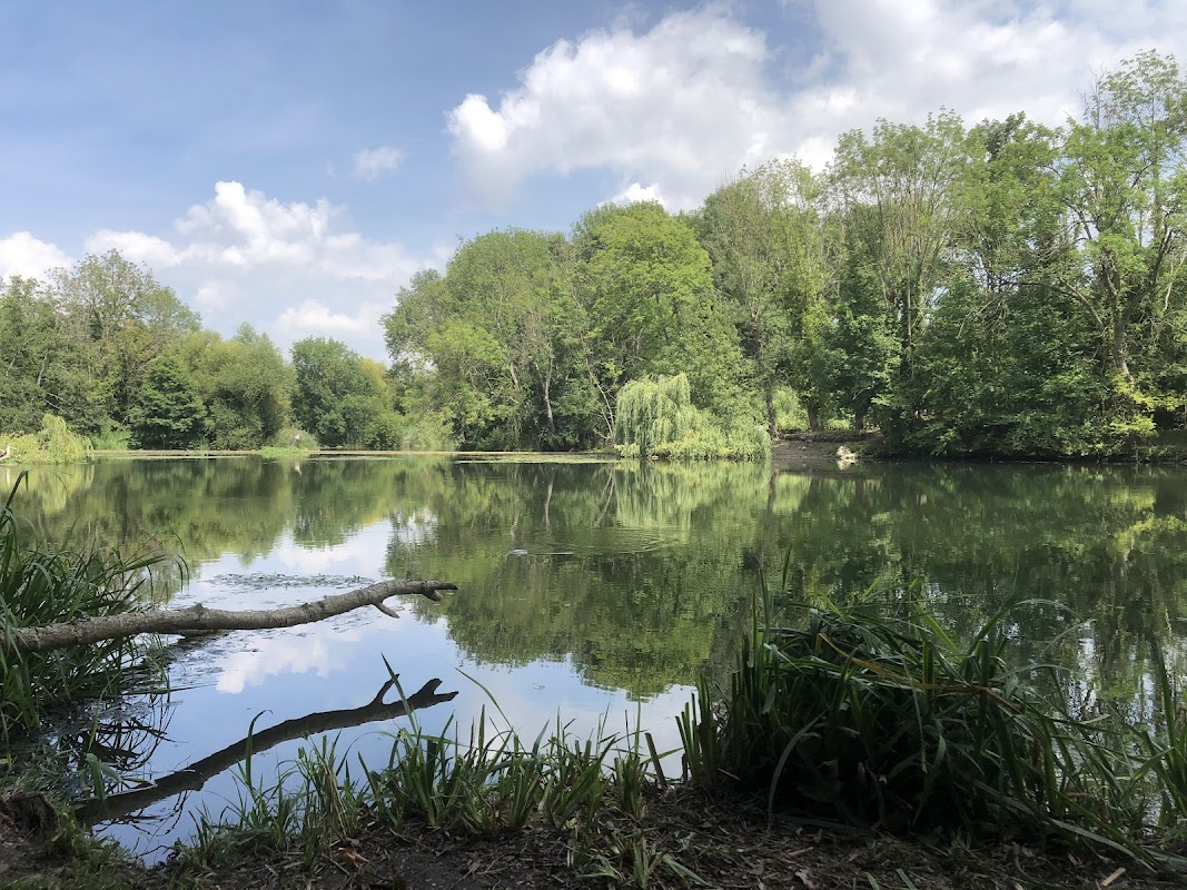 EHPAD du Canton de Nemours - Photo 5 sur 5 - Environnement et extérieurs