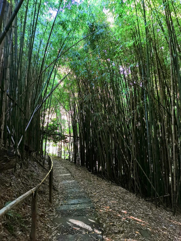 Photo de EHPAD des cents marches, EHPAD à MONTFORT EN CHALOSSE