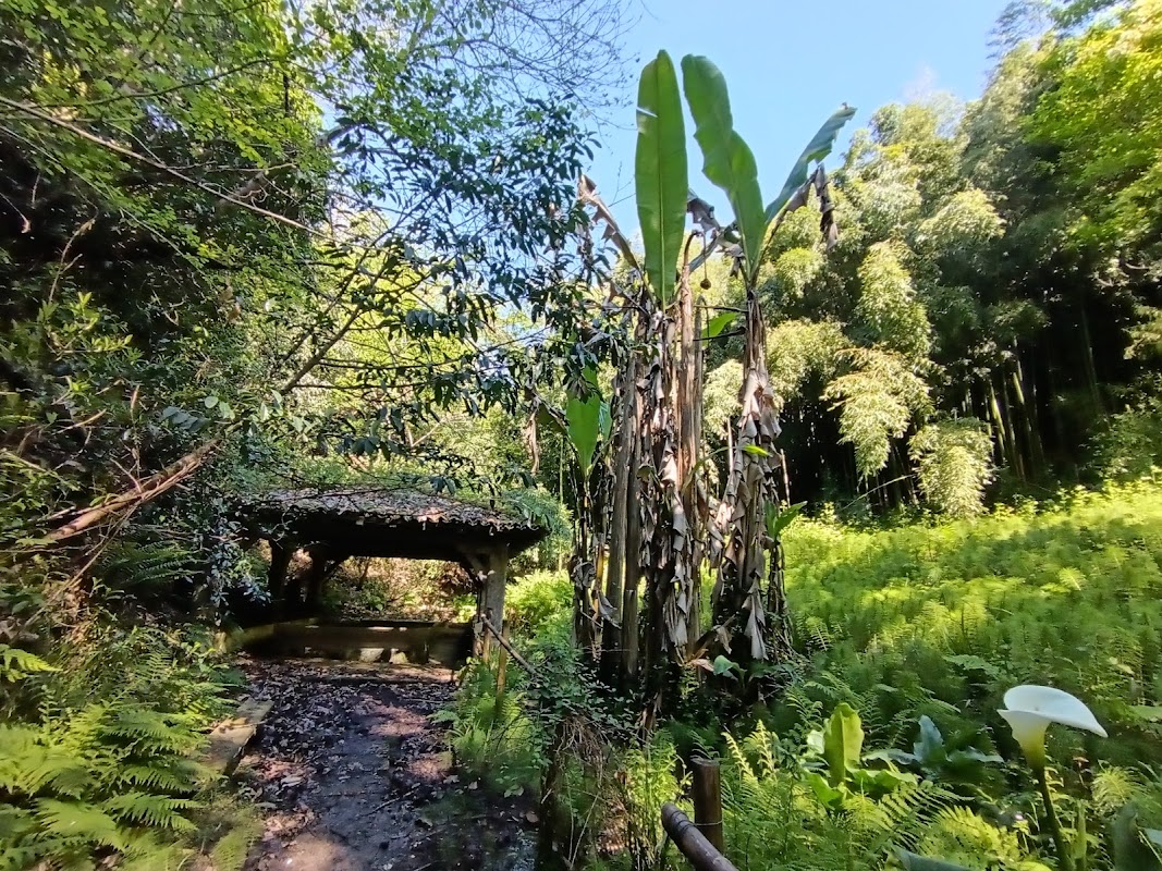 EHPAD des cents marches - Photo 2 sur 5 - Intérieur et espaces communs