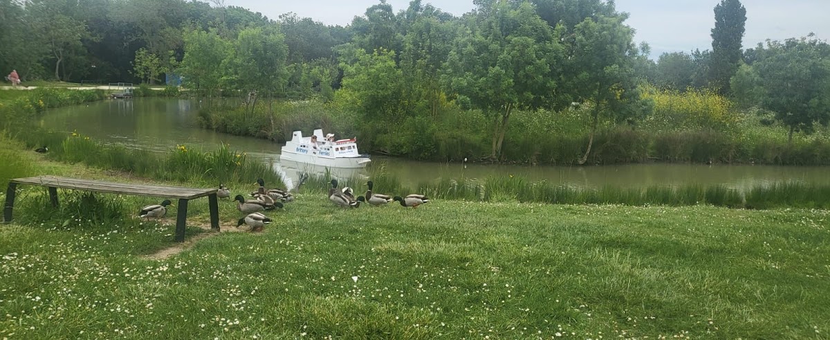 Résidence du parc - Photo 2 sur 5 - Intérieur et espaces communs