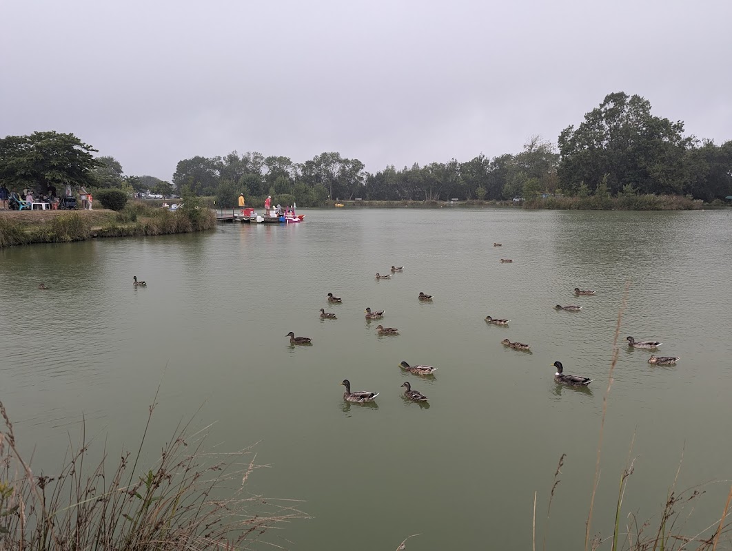 Résidence du parc - Photo 4 sur 5 - Espaces de vie