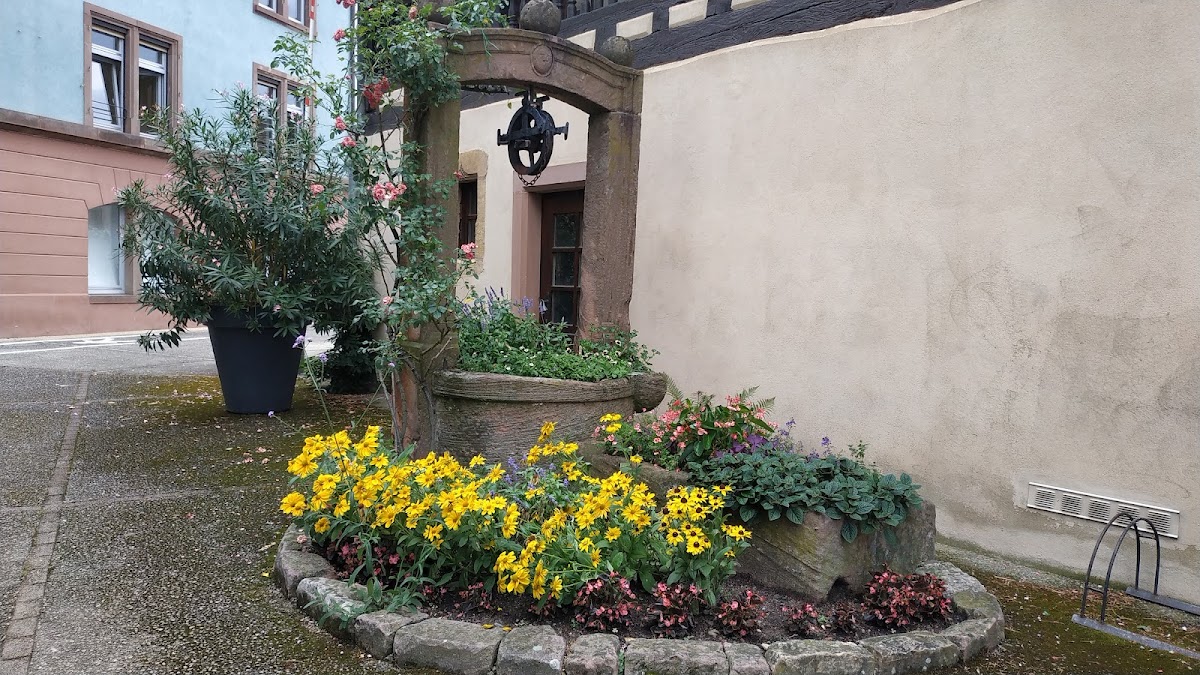 EHPAD du Brand - Photo principale