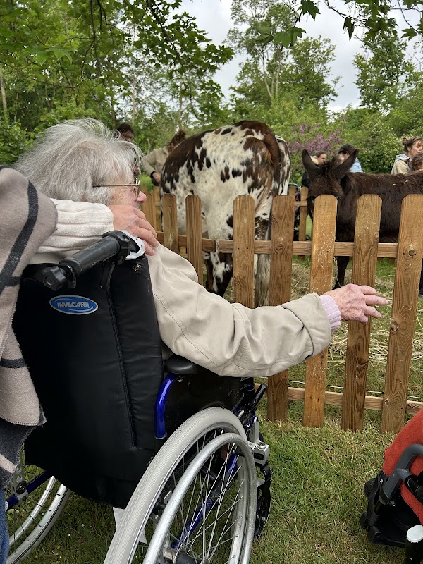 Foyer-Logement Asile Sainte Marie - Photo 2 sur 5 - Intérieur et espaces communs