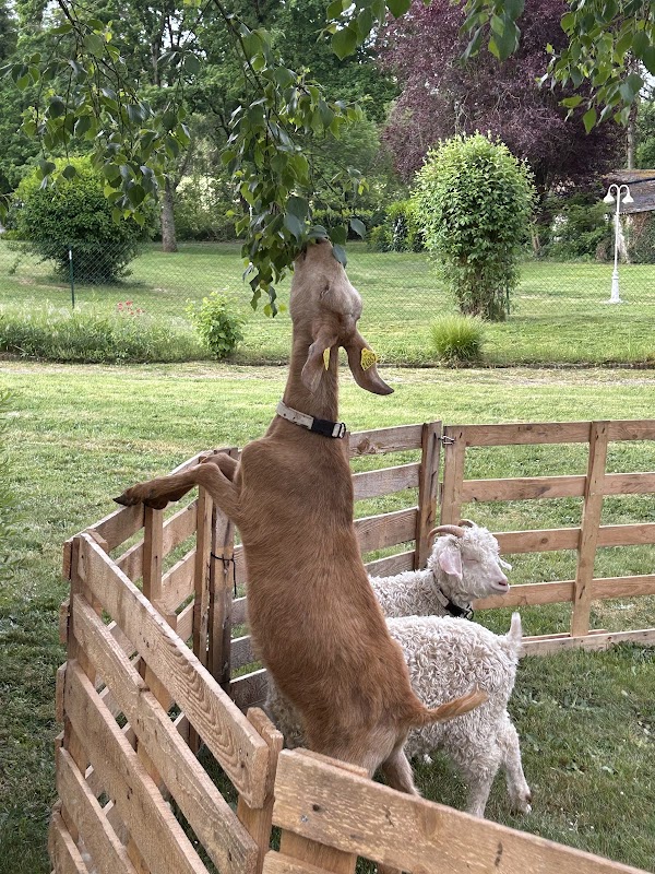Foyer-Logement Asile Sainte Marie - Photo 3 sur 5 - Chambres et hébergement