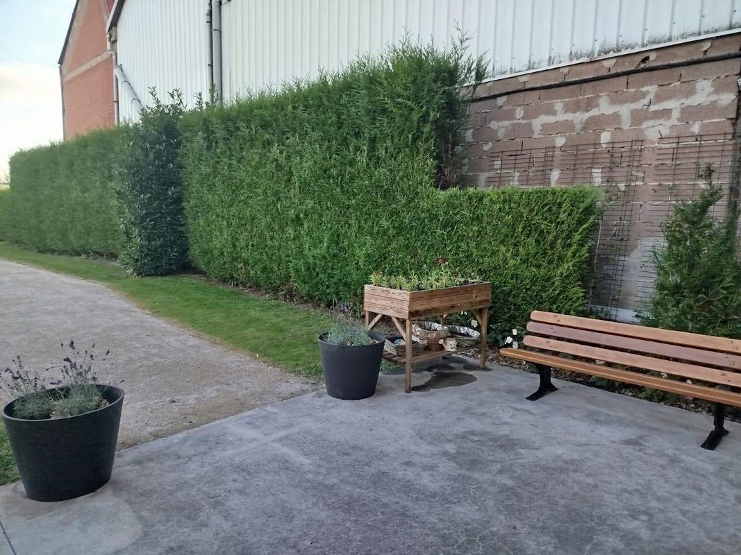 Photo de EHPAD Le Domaine des Tuileries, EHPAD à PERENCHIES