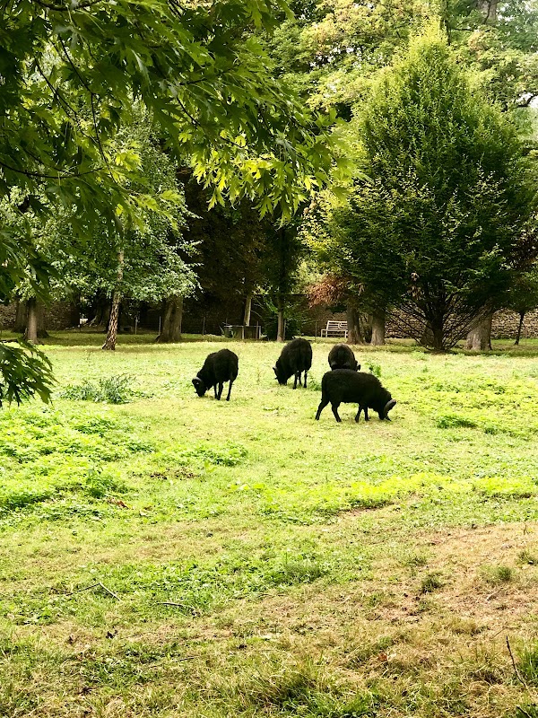 EHPAD MNA Artistes Dramatiques - Photo 4 sur 5 - Espaces de vie