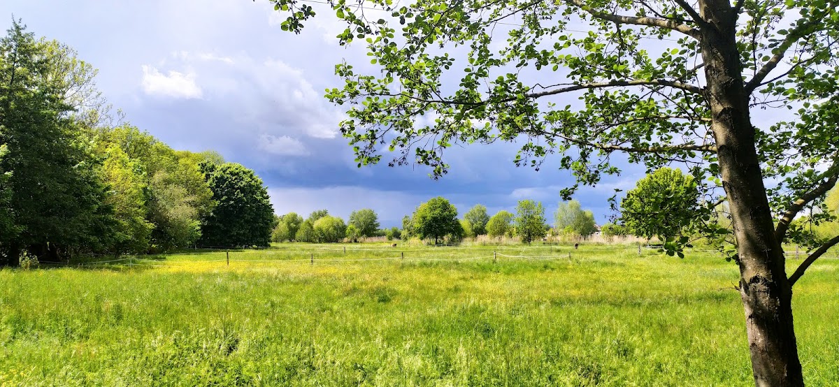 Maison de retraite Au Fil de l'eau - Photo 3 sur 3 - Chambres et hébergement