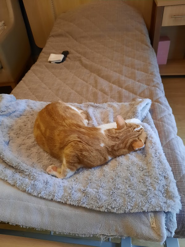 Résidence du Lys - Photo 4 sur 5 - Espaces de vie