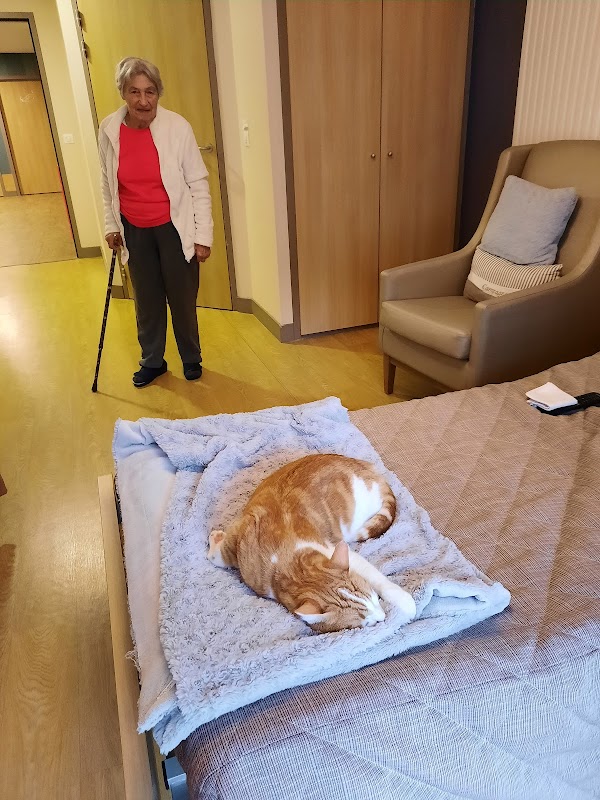 Résidence du Lys - Photo 5 sur 5 - Environnement et extérieurs