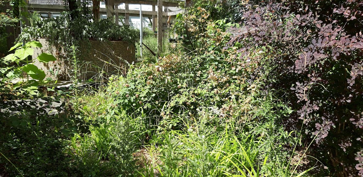 Foyer-Logement Résidence du Parc - Photo 4 sur 5 - Espaces de vie