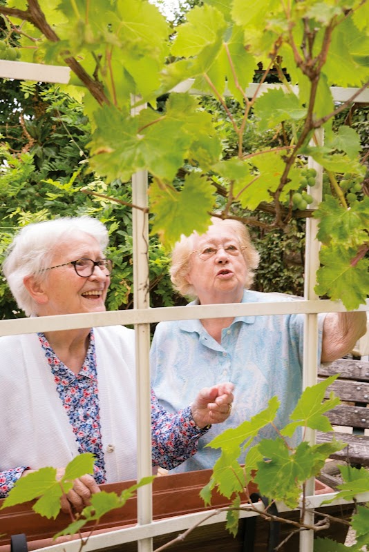 EHPAD Les Vignes - Photo 3 sur 4 - Chambres et hébergement