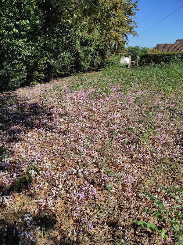 Résidence La pastourelle