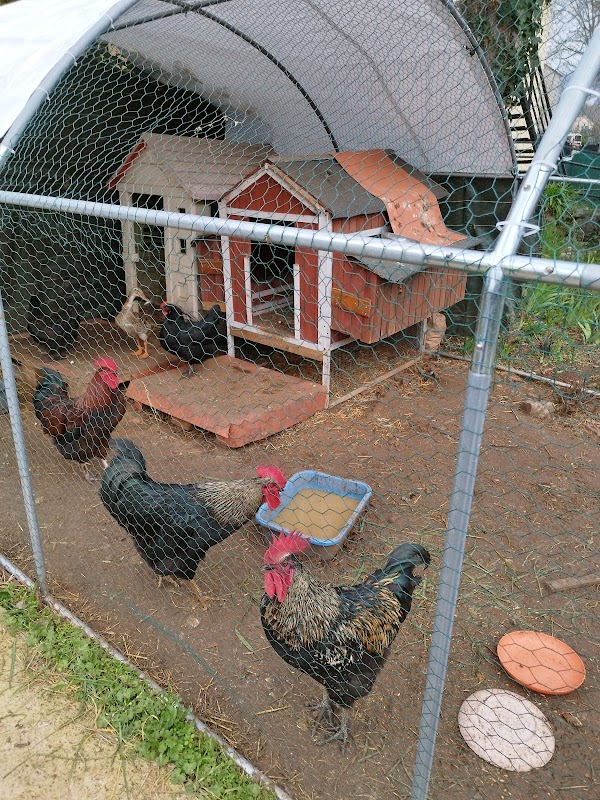 Photo de EHPAD Résidence du Golf, EHPAD à ROQUEFORT LES PINS