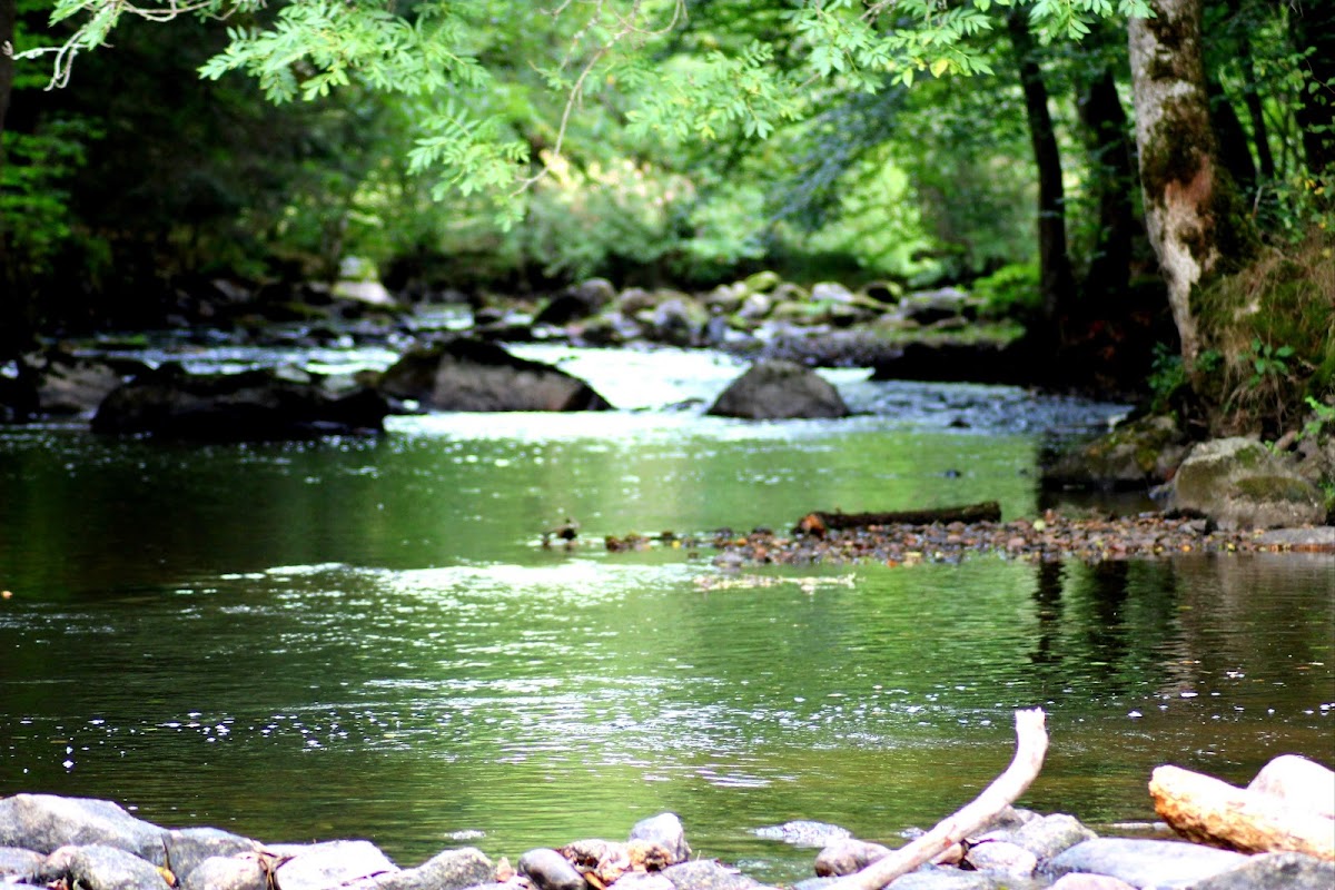 Foyer-Logement Résidence La jaloustre - Photo 2 sur 3 - Intérieur et espaces communs