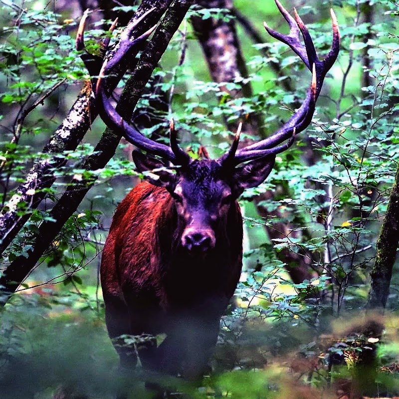 Foyer-Logement Résidence La jaloustre - Photo 3 sur 3 - Chambres et hébergement