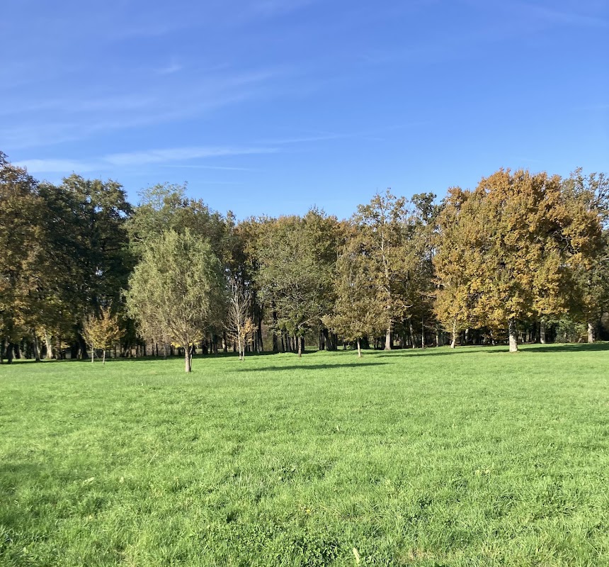 EHPAD la résidence du Bourg - Photo 5 sur 5 - Environnement et extérieurs