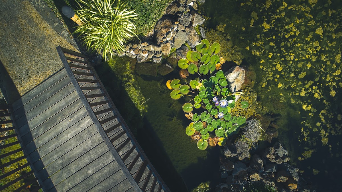 EHPAD Résidence Saint-Pierre - Photo 5 sur 5 - Environnement et extérieurs