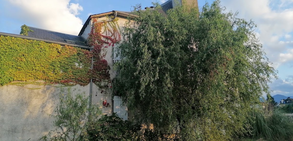 EHPAD Résidence du Barétous - Photo 4 sur 5 - Espaces de vie