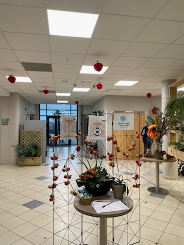 EHPAD Le bois de Bléville - Photo 4 sur 5 - Espaces de vie