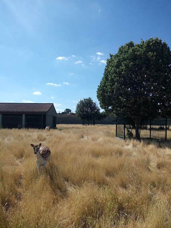 EHPAD Serge Bayle - Photo 3 sur 3 - Chambres et hébergement