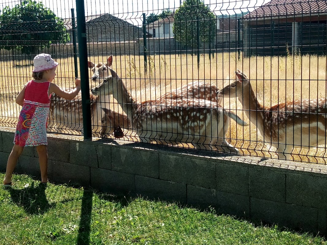 Photo de EHPAD Serge Bayle, EHPAD à AIGUEPERSE