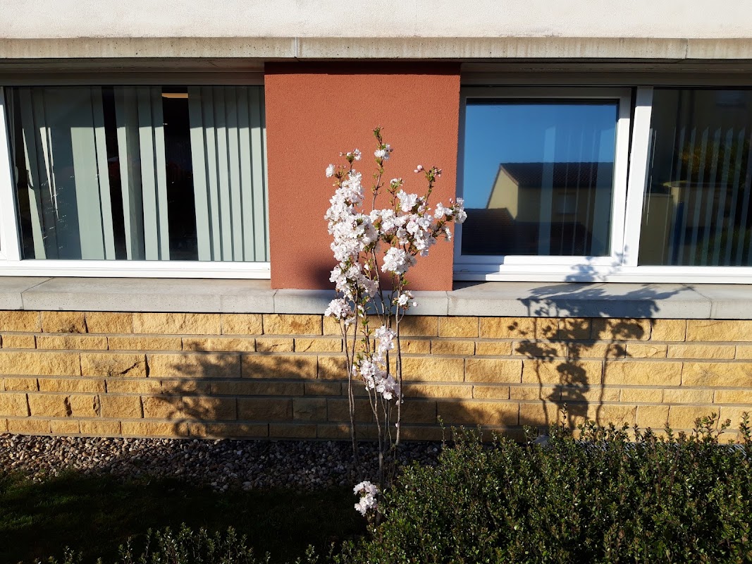 Photo de EHPAD La Forêt-Hayange, EHPAD à HAYANGE