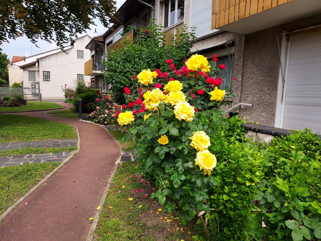 Résidence Albert-Caron