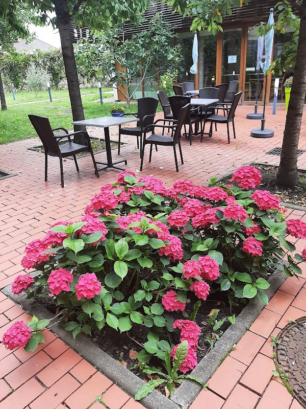 EHPAD Les Landes - Photo 2 sur 5 - Intérieur et espaces communs