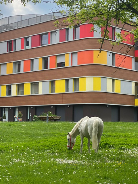 EHPAD Le Patio - Photo principale