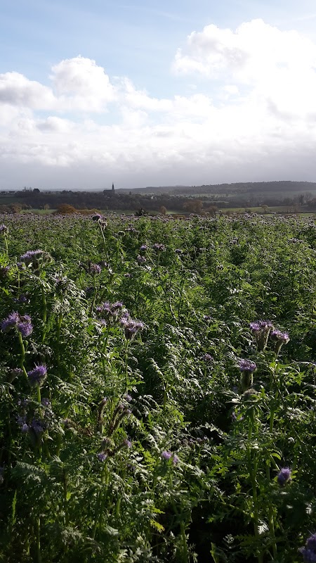 EHPAD de Henon - Photo 3 sur 3 - Chambres et hébergement