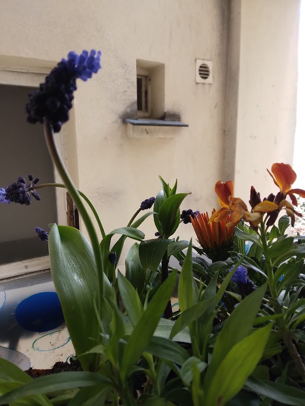 Logements Morand - Photo 2 sur 3 - Intérieur et espaces communs