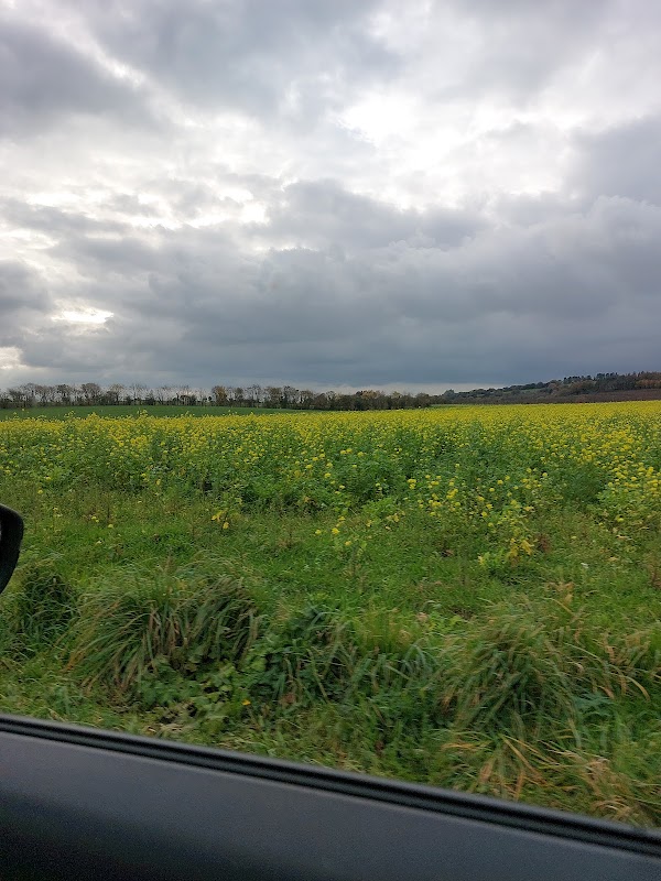 EHPAD du Steir - Photo 3 sur 5 - Chambres et hébergement