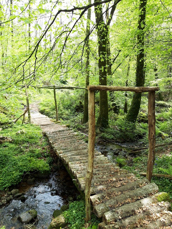 EHPAD du Steir - Photo 5 sur 5 - Environnement et extérieurs